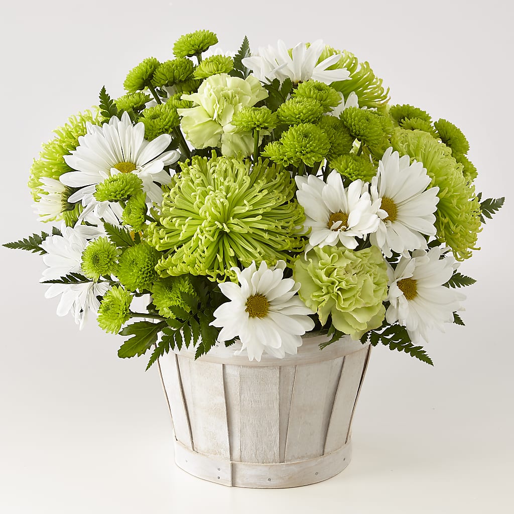 Lucky Charm Basket (Standard) – Loose Leaf Florist, Austin TX