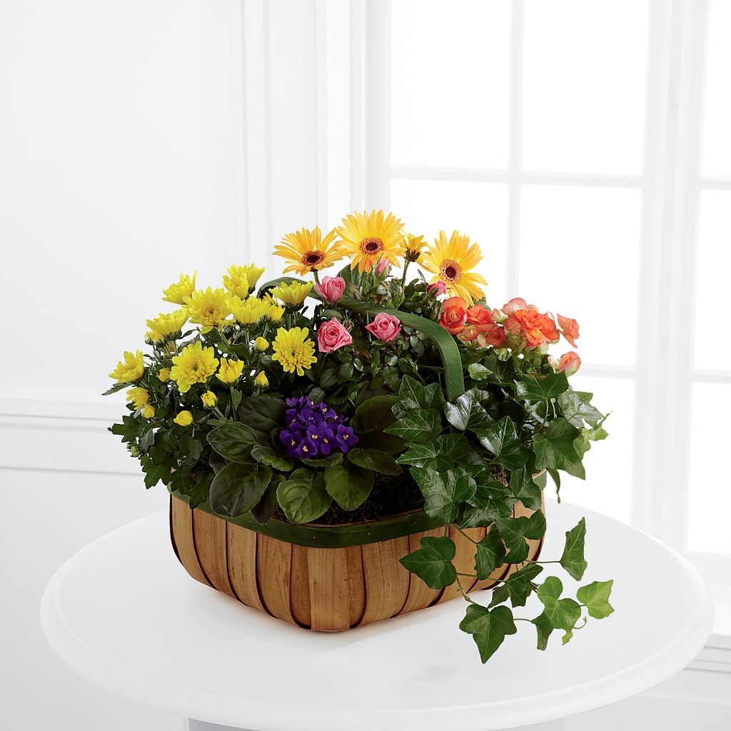Gentle Blossoms Basket – Loose Leaf Florist, Austin TX