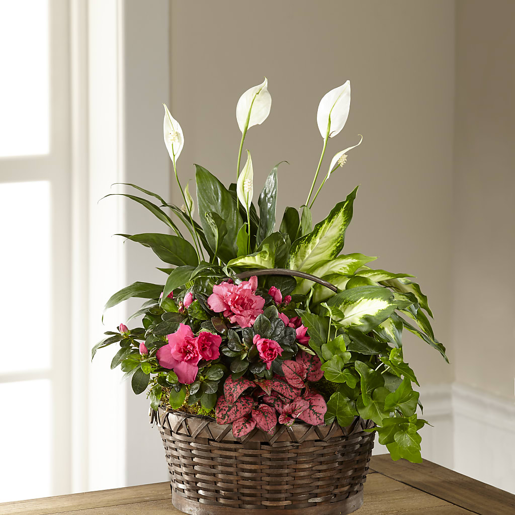 Dream in Pink Dishgarden – Loose Leaf Florist, Austin TX
