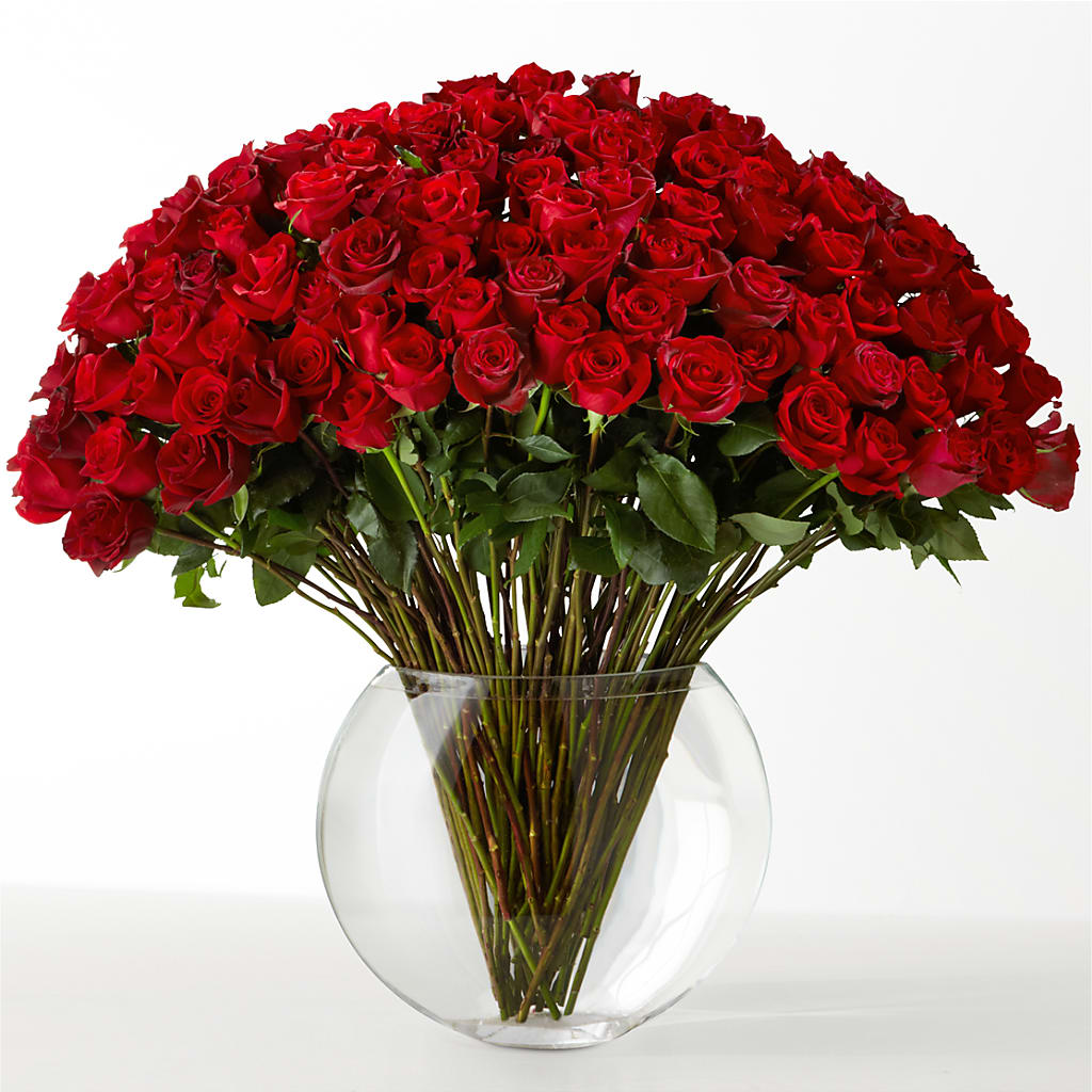 The Idealist – Loose Leaf Florist, Austin TX