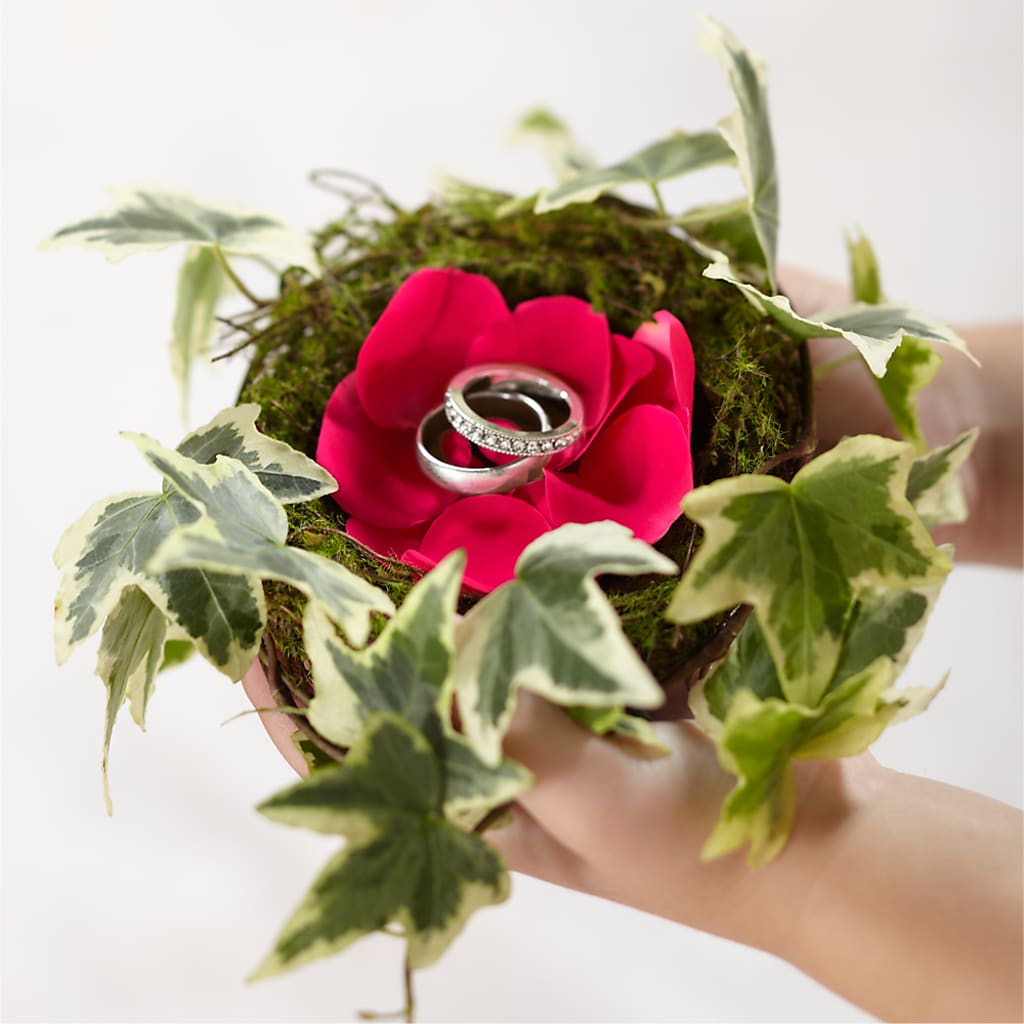 Lila Rose Ring Nest – Loose Leaf Florist, Austin TX