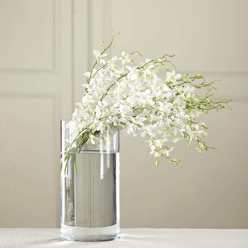 White Dendrobium Bouquet – Loose Leaf Florist, Austin TX