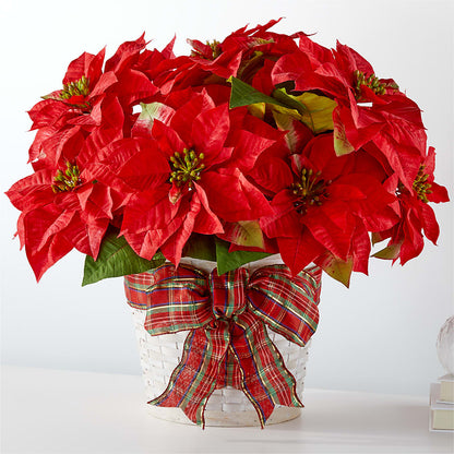 Happiest Holidays Poinsettia –  Loose Leaf Florist, Austin TX