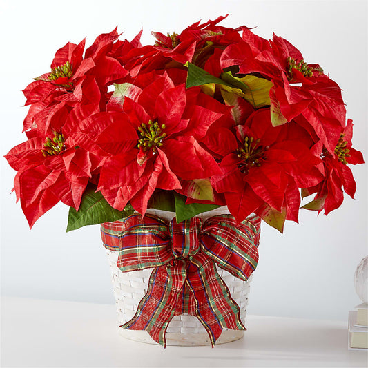 Happiest Holidays Poinsettia –  Loose Leaf Florist, Austin TX