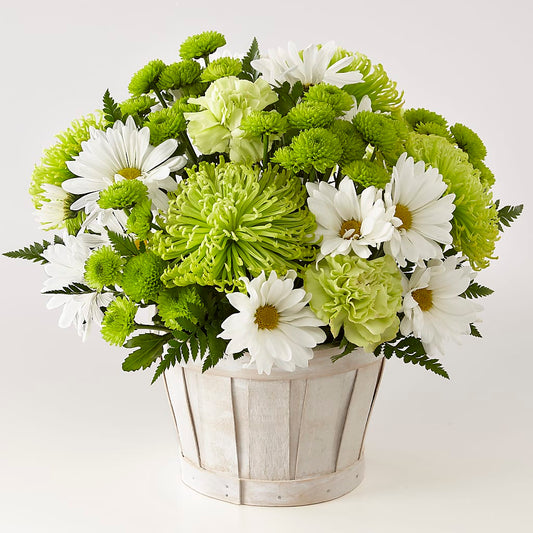 Lucky Charm Basket (Standard) –  Loose Leaf Florist, Austin TX