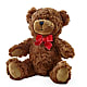 Adorable Plush Bear –  Loose Leaf Florist, Austin TX