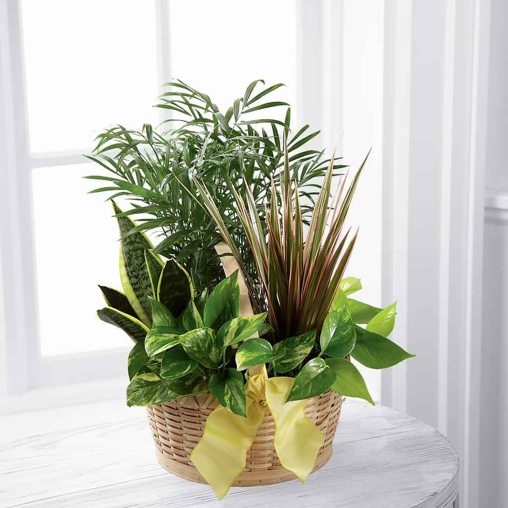 French Garden –  Loose Leaf Florist, Austin TX