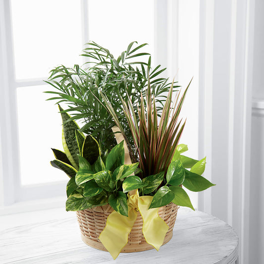 French Garden –  Loose Leaf Florist, Austin TX
