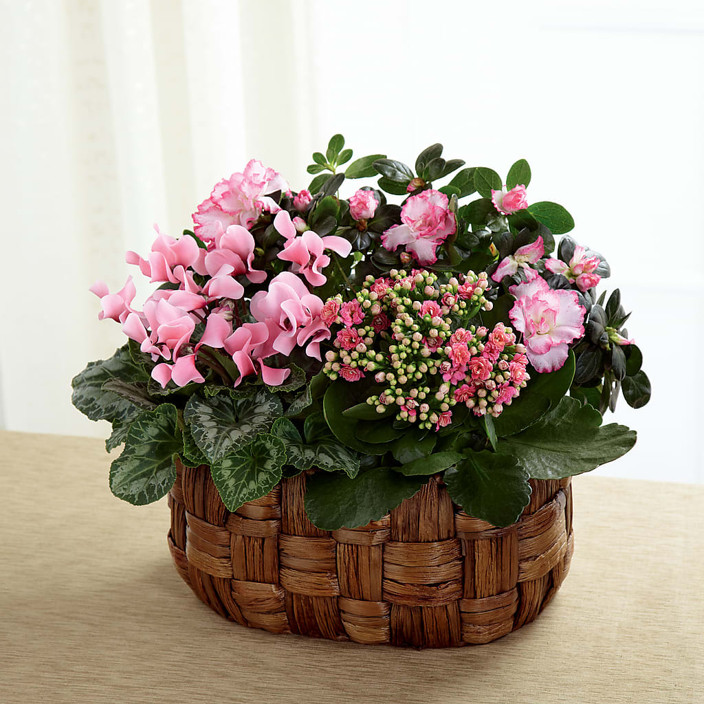 Pink Assortment –  Loose Leaf Florist, Austin TX