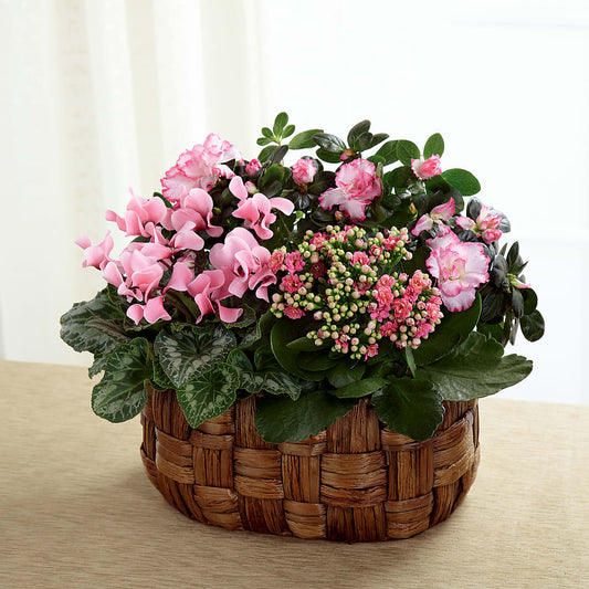 Pink Assortment –  Loose Leaf Florist, Austin TX