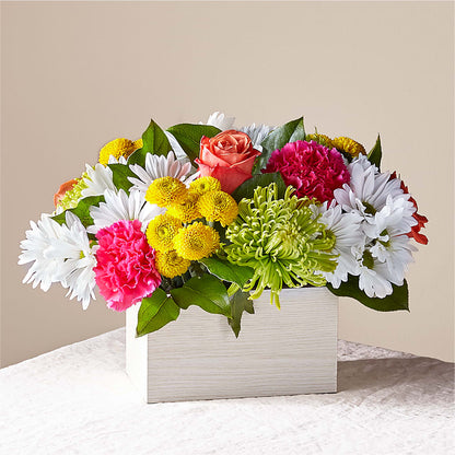 Sorbet Bouquet –  Loose Leaf Florist, Austin TX