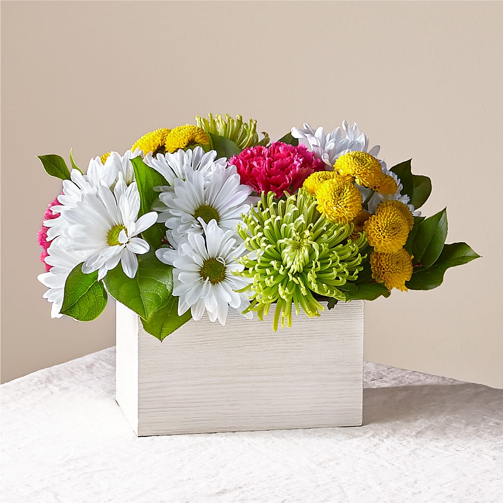 Sorbet Bouquet –  Loose Leaf Florist, Austin TX