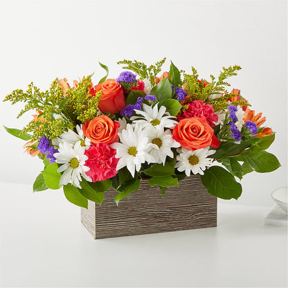 Oopsie Daisy Box Bouquet –  Loose Leaf Florist, Austin TX