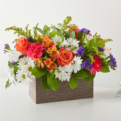 Oopsie Daisy Box Bouquet –  Loose Leaf Florist, Austin TX