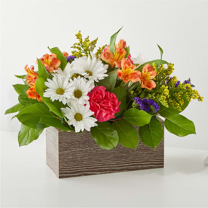 Oopsie Daisy Box Bouquet –  Loose Leaf Florist, Austin TX