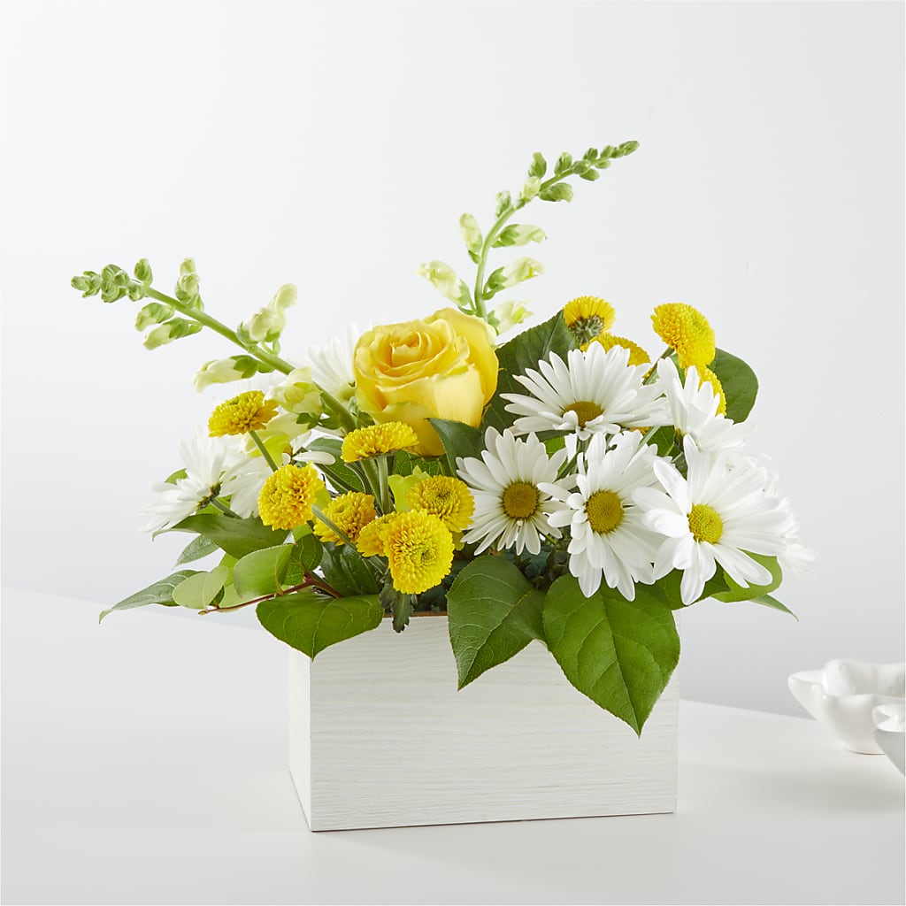 Sun Salutation Box Bouquet –  Loose Leaf Florist, Austin TX