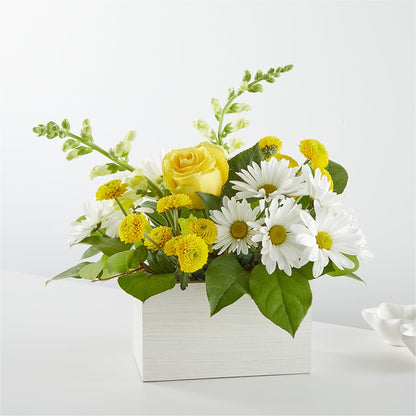 Sun Salutation Box Bouquet –  Loose Leaf Florist, Austin TX