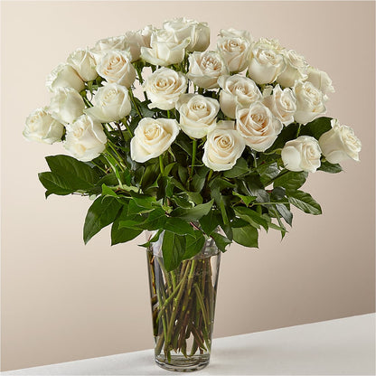 Long Stem White Rose Bouquet –  Loose Leaf Florist, Austin TX