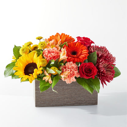 Autumn Orchard Bouquet –  Loose Leaf Florist, Austin TX