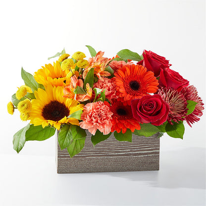 Autumn Orchard Bouquet –  Loose Leaf Florist, Austin TX