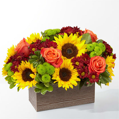 Happy Harvest Garden –  Loose Leaf Florist, Austin TX