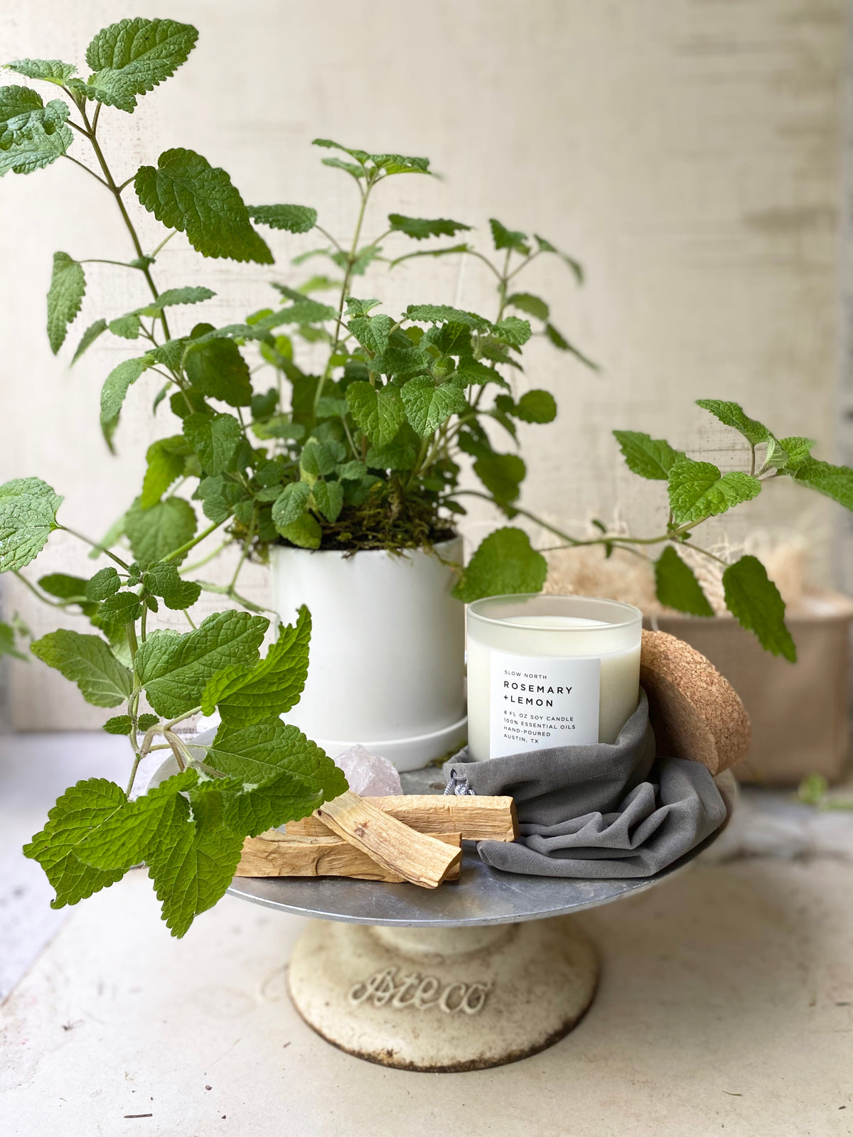 Good Vibes –  Loose Leaf Florist, Austin TX