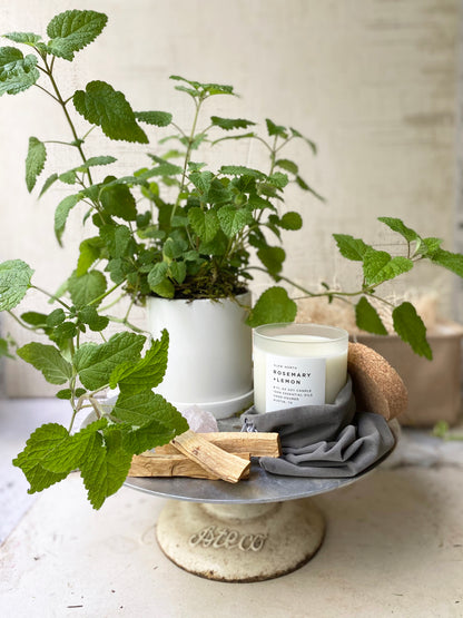 Good Vibes –  Loose Leaf Florist, Austin TX