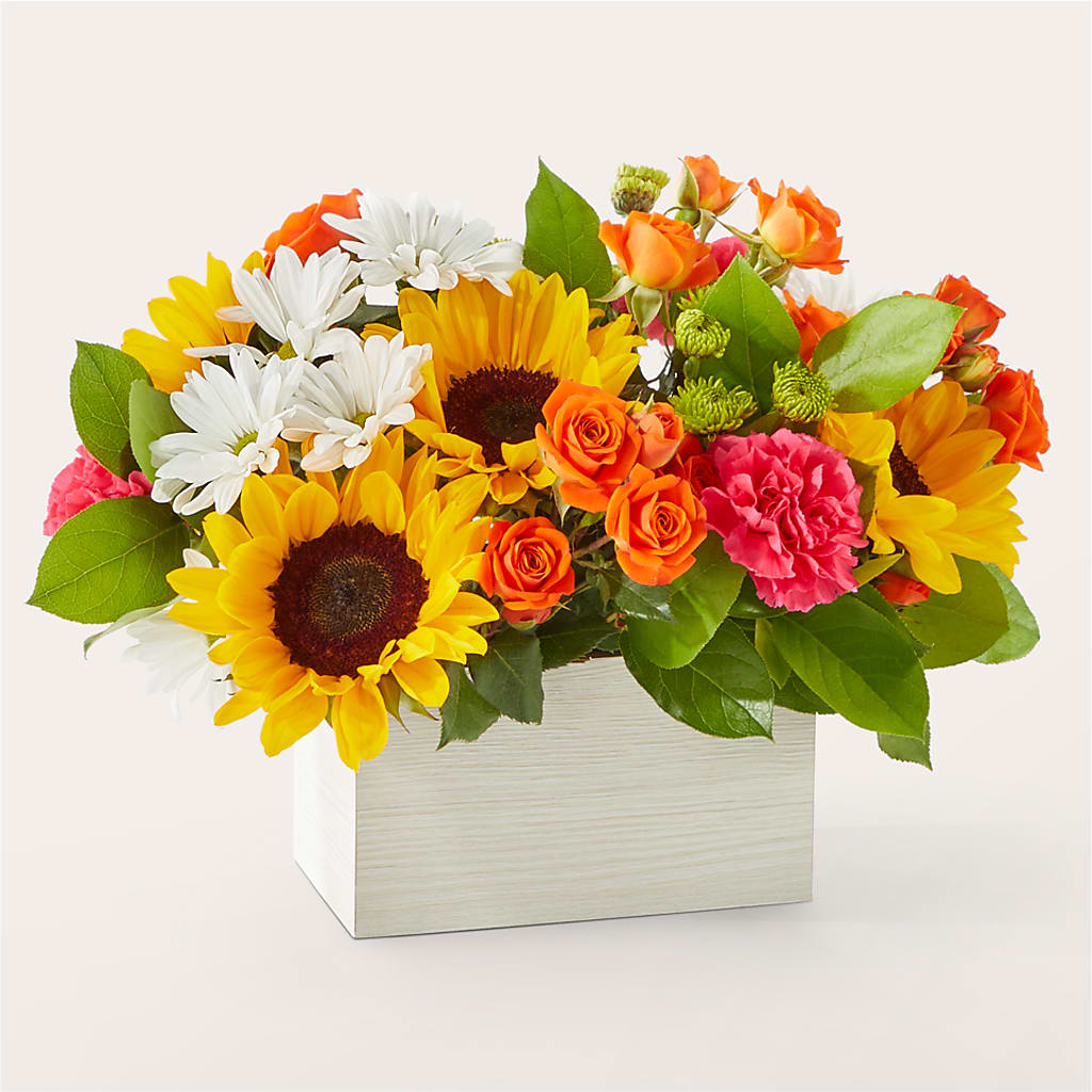 Sun-drenched Blooms Box Bouquet –  Loose Leaf Florist, Austin TX