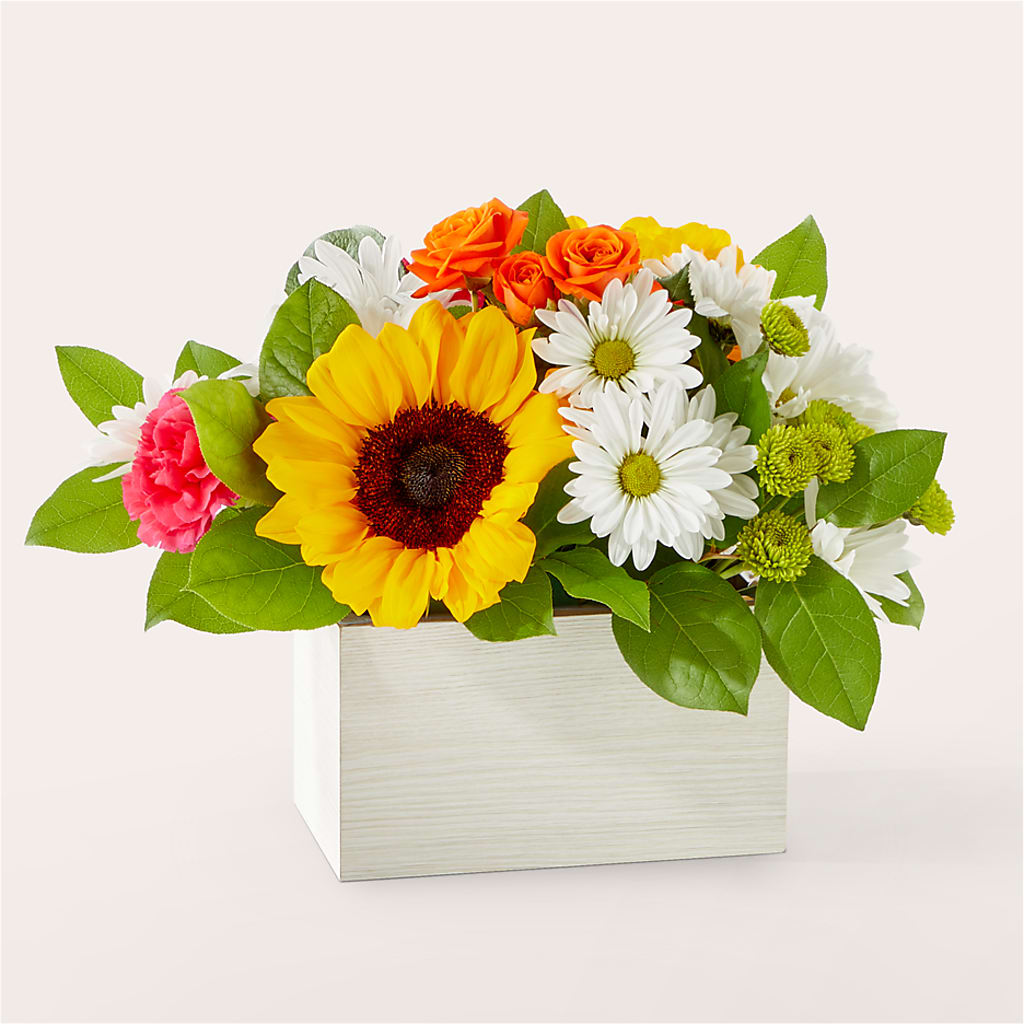 Sun-drenched Blooms Box Bouquet –  Loose Leaf Florist, Austin TX