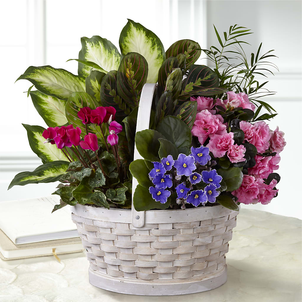 Peaceful Garden Planter –  Loose Leaf Florist, Austin TX