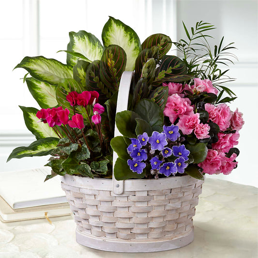 Peaceful Garden Planter –  Loose Leaf Florist, Austin TX