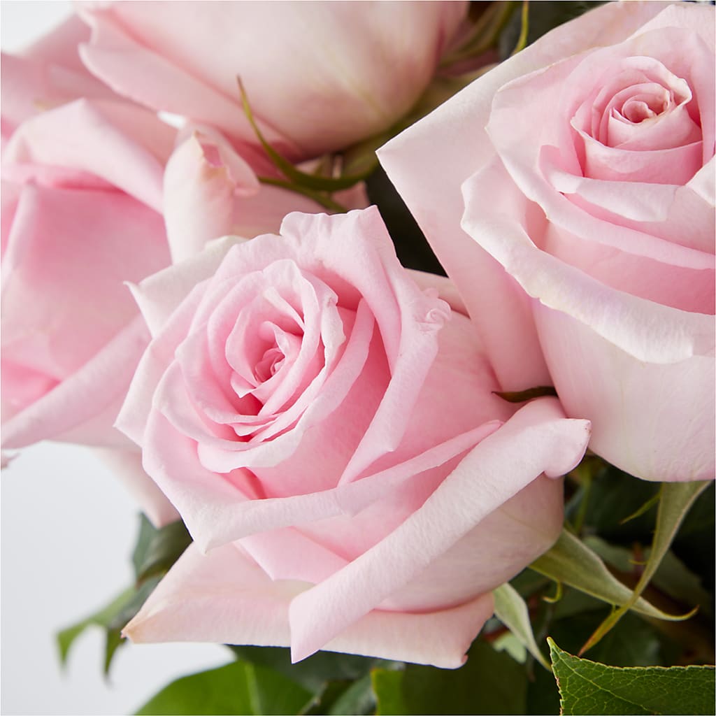 Picture Perfect Pink Rose Bouquet –  Loose Leaf Florist, Austin TX