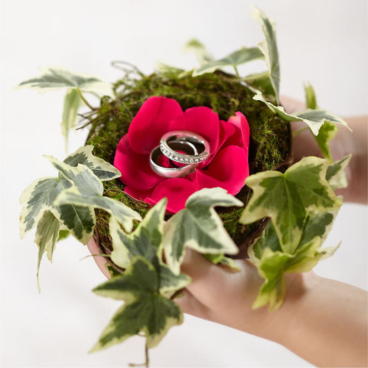 Lila Rose Ring Nest –  Loose Leaf Florist, Austin TX