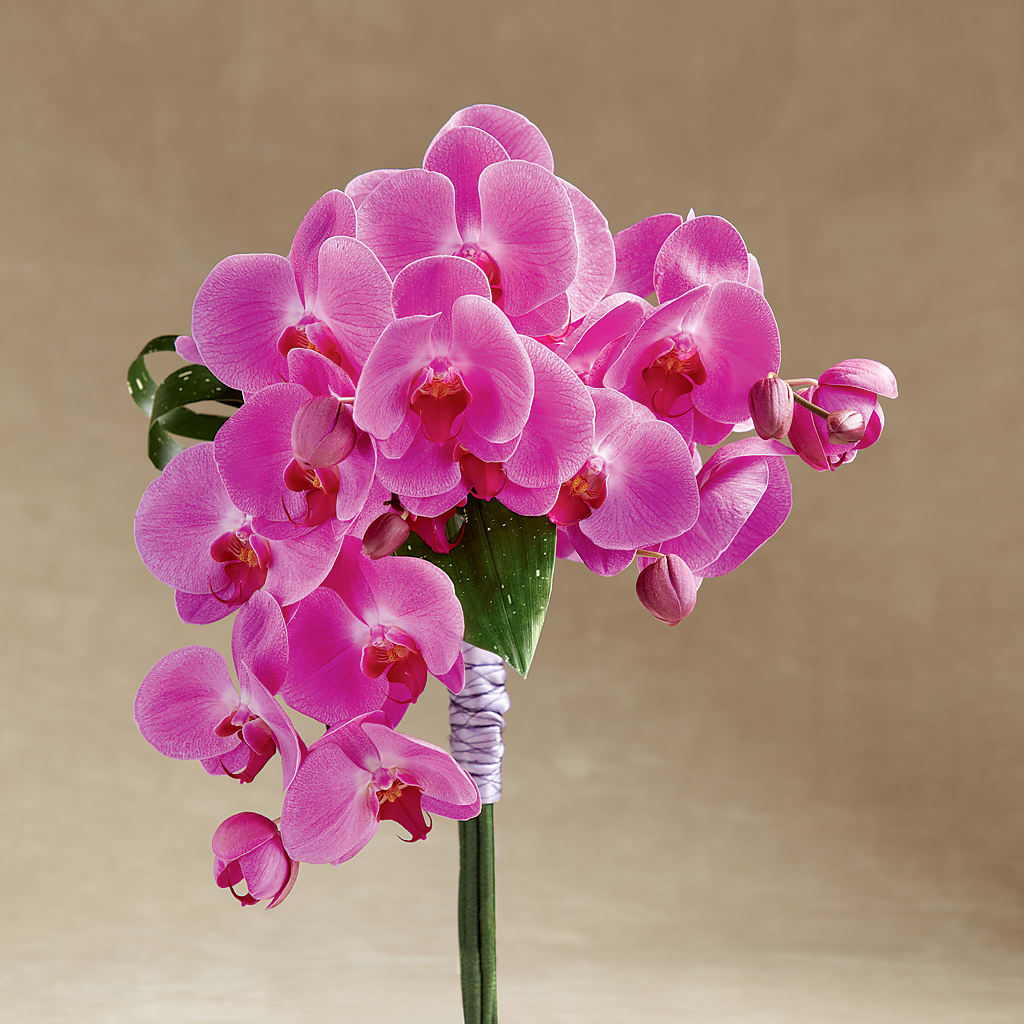 Glorious Bouquet –  Loose Leaf Florist, Austin TX