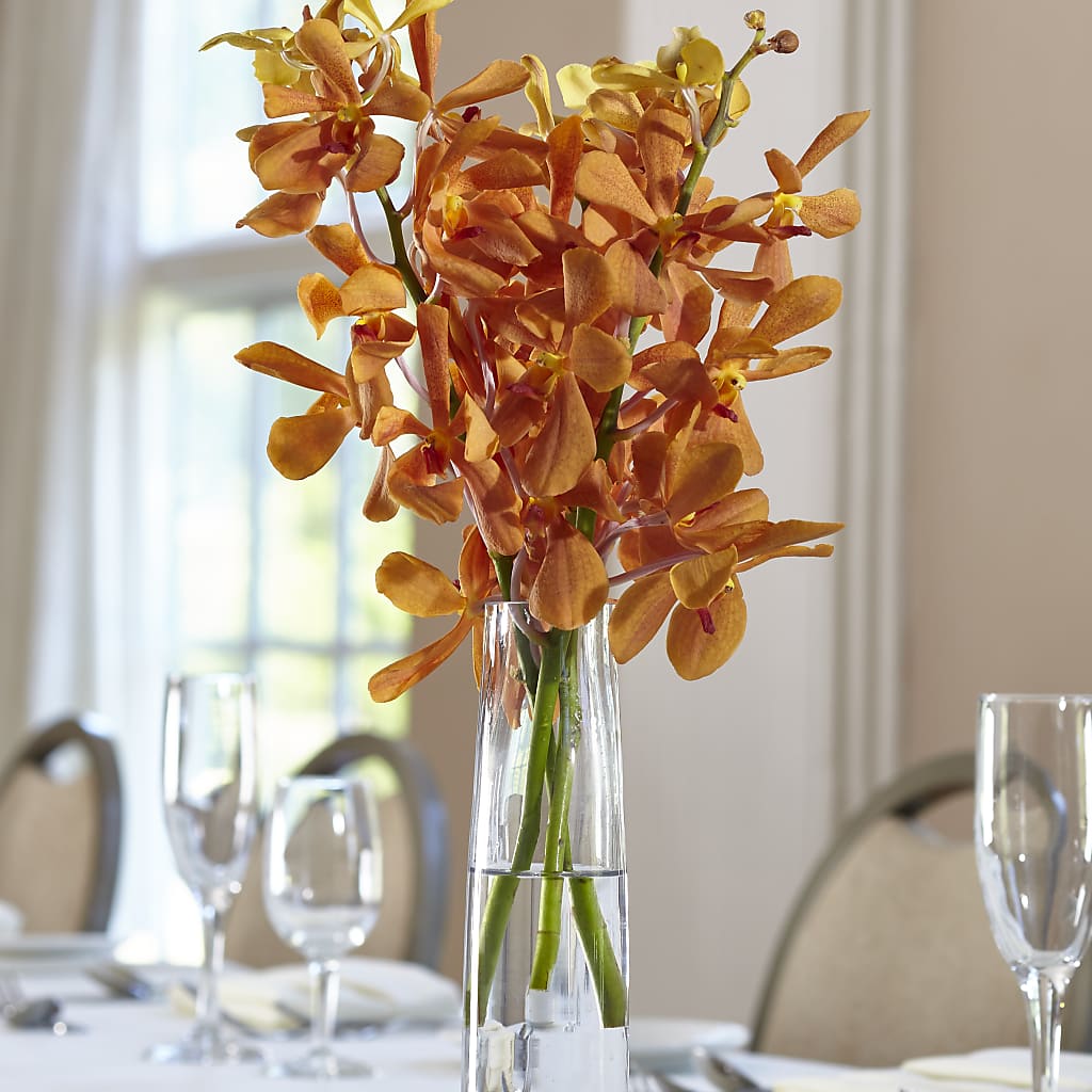 Orange Mokara Bud Vase –  Loose Leaf Florist, Austin TX