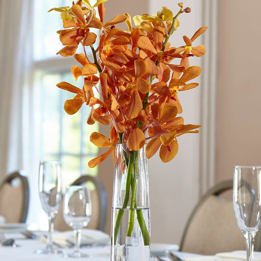 Orange Mokara Bud Vase –  Loose Leaf Florist, Austin TX