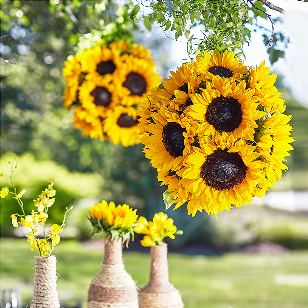 Sublime Garden Hanging Arrangement –  Loose Leaf Florist, Austin TX
