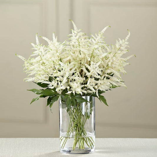 White Astilbe Bouquet –  Loose Leaf Florist, Austin TX