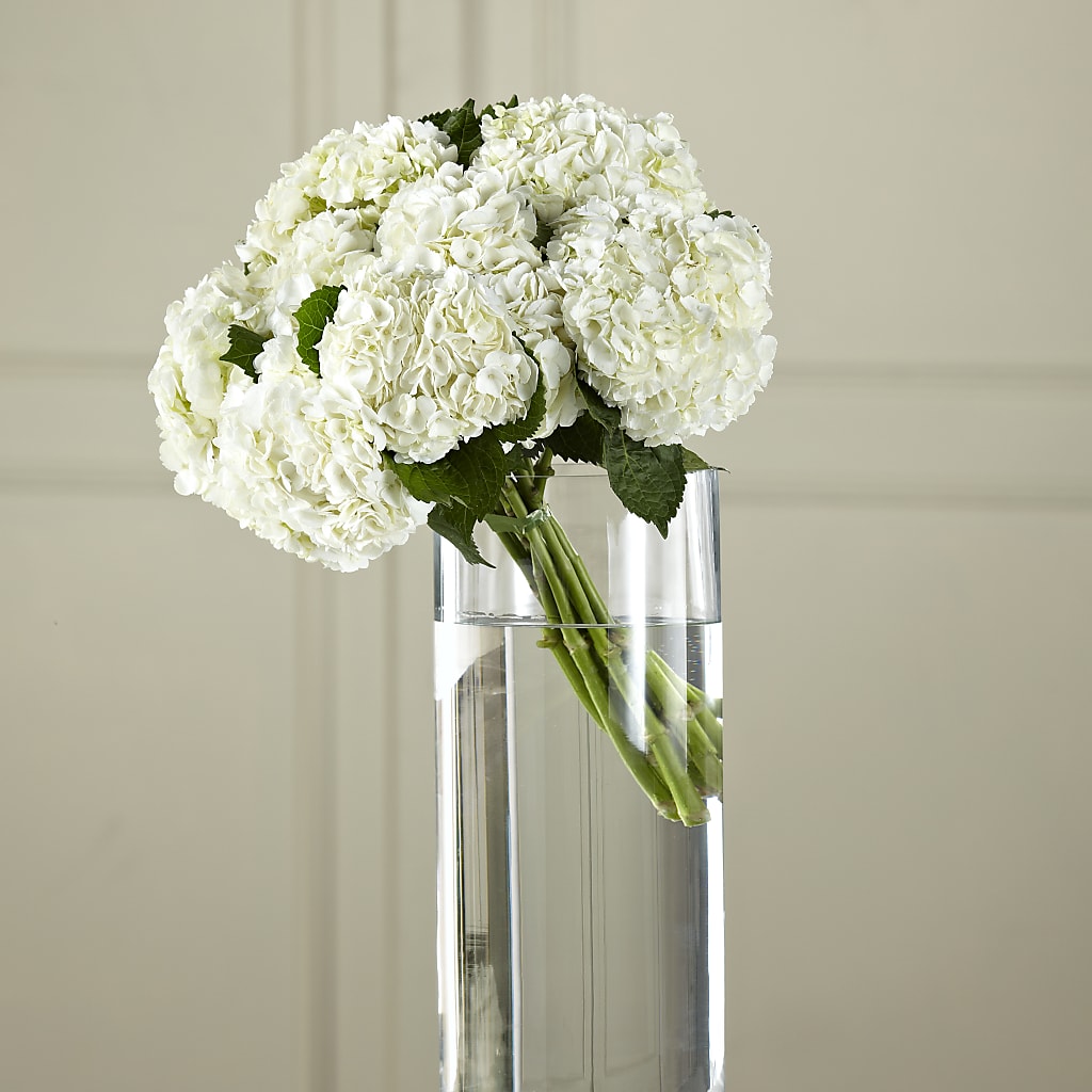White Hydrangea Hand-Tied Bouquet –  Loose Leaf Florist, Austin TX