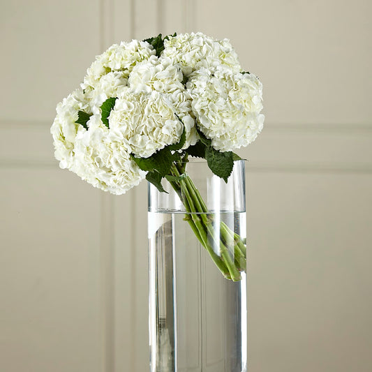 White Hydrangea Hand-Tied Bouquet –  Loose Leaf Florist, Austin TX