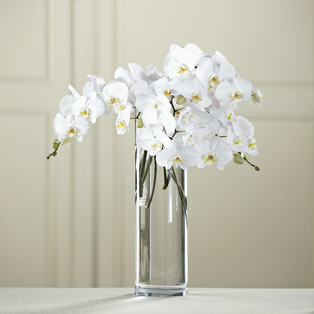 White Phalaenopsis Bouquet –  Loose Leaf Florist, Austin TX