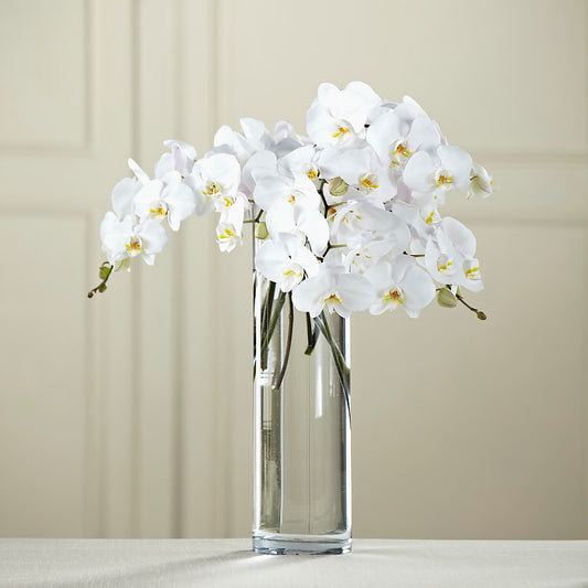 White Phalaenopsis Bouquet –  Loose Leaf Florist, Austin TX