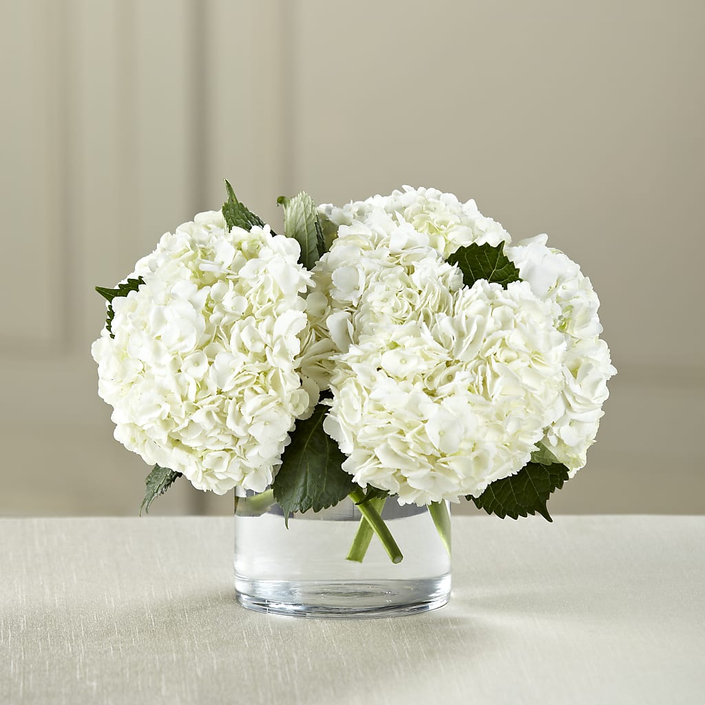 White Hydrangea Bouquet –  Loose Leaf Florist, Austin TX