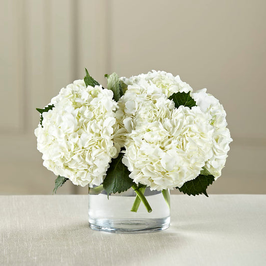 White Hydrangea Bouquet –  Loose Leaf Florist, Austin TX